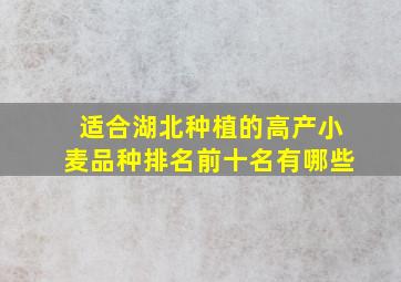 适合湖北种植的高产小麦品种排名前十名有哪些