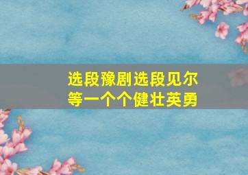 选段豫剧选段见尔等一个个健壮英勇