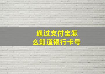 通过支付宝怎么知道银行卡号