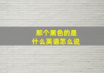 那个黑色的是什么英语怎么说