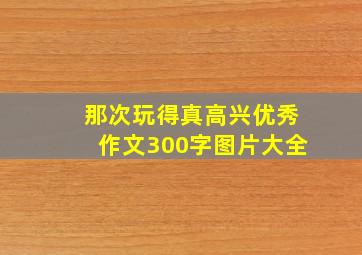 那次玩得真高兴优秀作文300字图片大全