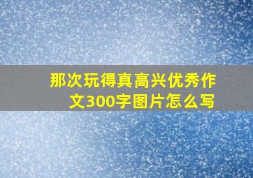 那次玩得真高兴优秀作文300字图片怎么写