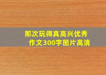 那次玩得真高兴优秀作文300字图片高清