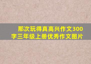 那次玩得真高兴作文300字三年级上册优秀作文图片