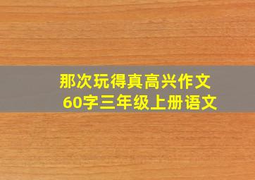 那次玩得真高兴作文60字三年级上册语文