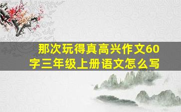 那次玩得真高兴作文60字三年级上册语文怎么写