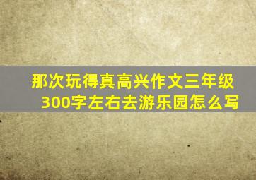 那次玩得真高兴作文三年级300字左右去游乐园怎么写