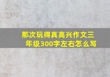 那次玩得真高兴作文三年级300字左右怎么写