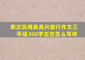 那次玩得真高兴旅行作文三年级300字左右怎么写呀