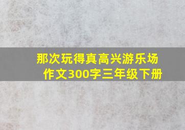 那次玩得真高兴游乐场作文300字三年级下册