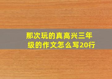 那次玩的真高兴三年级的作文怎么写20行