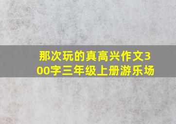 那次玩的真高兴作文300字三年级上册游乐场