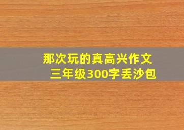 那次玩的真高兴作文三年级300字丢沙包