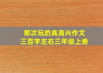 那次玩的真高兴作文三百字左右三年级上册