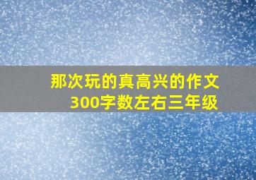 那次玩的真高兴的作文300字数左右三年级