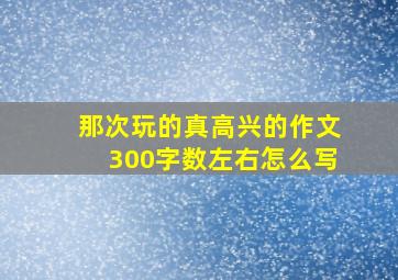 那次玩的真高兴的作文300字数左右怎么写