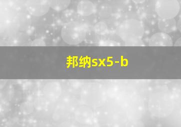 邦纳sx5-b