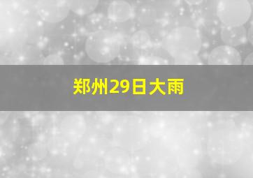 郑州29日大雨