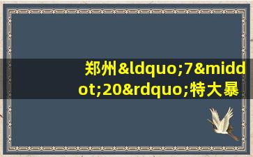 郑州“7·20”特大暴雨灾害进行调查