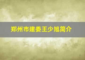 郑州市建委王少旭简介