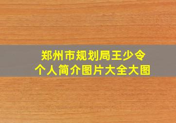 郑州市规划局王少令个人简介图片大全大图