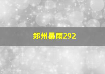 郑州暴雨292