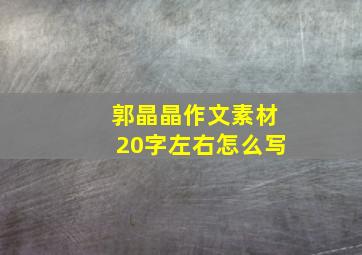 郭晶晶作文素材20字左右怎么写