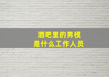 酒吧里的男模是什么工作人员