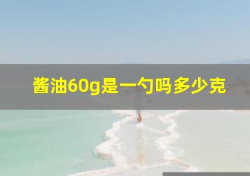 酱油60g是一勺吗多少克