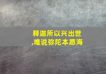 释迦所以兴出世,唯说弥陀本愿海