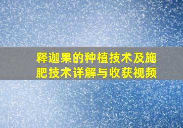 释迦果的种植技术及施肥技术详解与收获视频