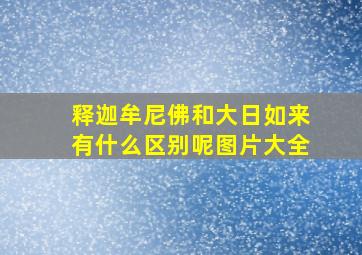 释迦牟尼佛和大日如来有什么区别呢图片大全