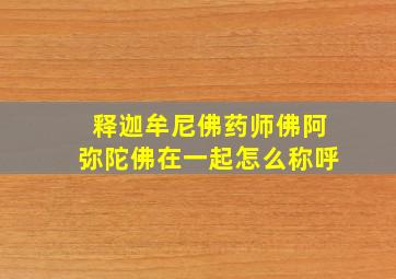 释迦牟尼佛药师佛阿弥陀佛在一起怎么称呼