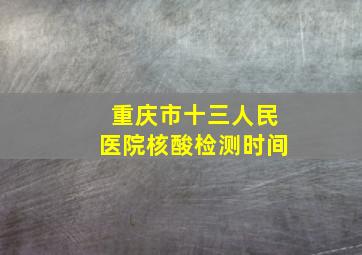 重庆市十三人民医院核酸检测时间