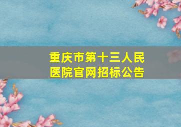 重庆市第十三人民医院官网招标公告