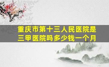 重庆市第十三人民医院是三甲医院吗多少钱一个月