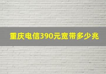 重庆电信390元宽带多少兆