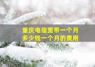 重庆电信宽带一个月多少钱一个月的费用