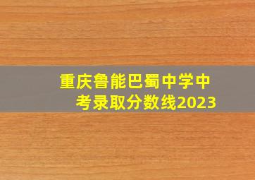 重庆鲁能巴蜀中学中考录取分数线2023