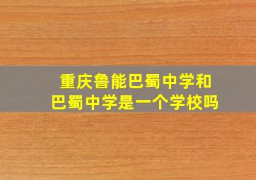 重庆鲁能巴蜀中学和巴蜀中学是一个学校吗