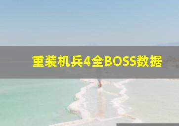 重装机兵4全BOSS数据