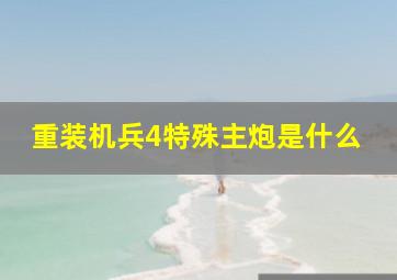 重装机兵4特殊主炮是什么