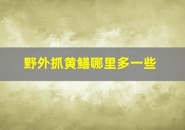 野外抓黄鳝哪里多一些