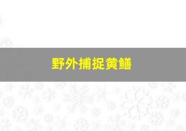 野外捕捉黄鳝