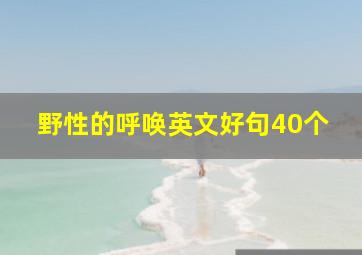 野性的呼唤英文好句40个