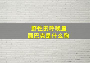 野性的呼唤里面巴克是什么狗