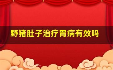 野猪肚子治疗胃病有效吗