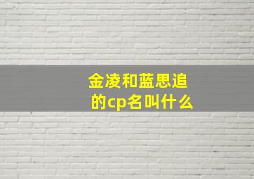 金凌和蓝思追的cp名叫什么