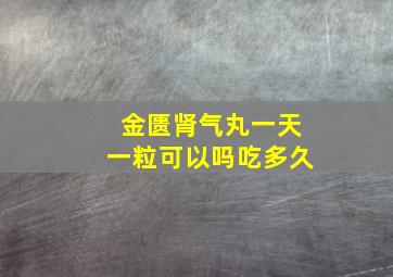 金匮肾气丸一天一粒可以吗吃多久