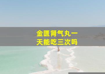 金匮肾气丸一天能吃三次吗